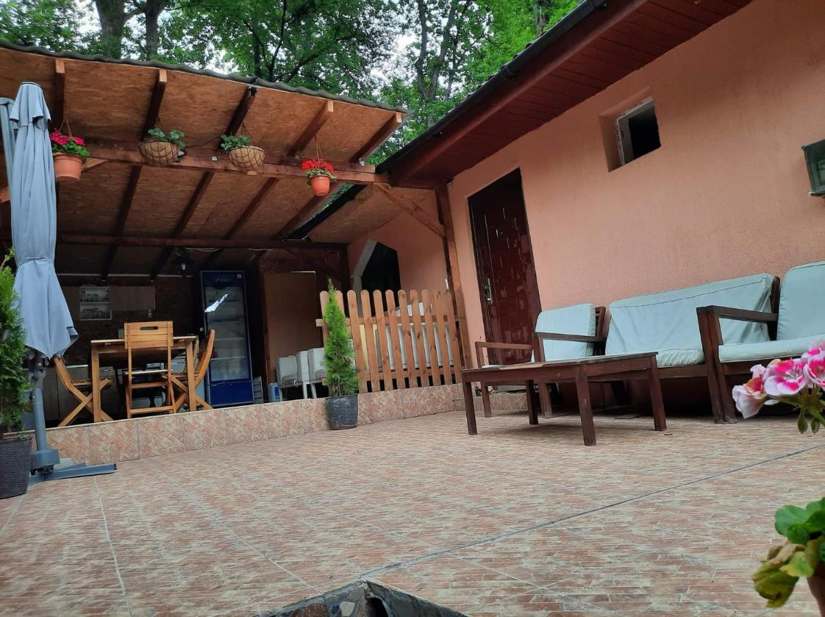 Casa De Vacanta Emd Ieşelniţa Dış mekan fotoğraf