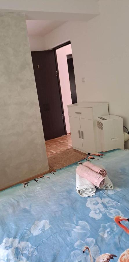 Casa De Vacanta Emd Ieşelniţa Dış mekan fotoğraf