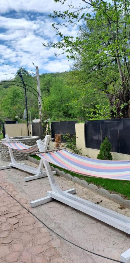 Casa De Vacanta Emd Ieşelniţa Dış mekan fotoğraf