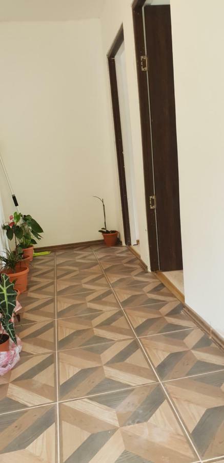 Casa De Vacanta Emd Ieşelniţa Dış mekan fotoğraf